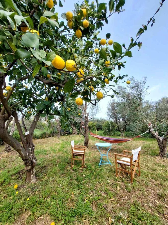 Citrus Tree Garden House Villa Kamisiana Exterior photo