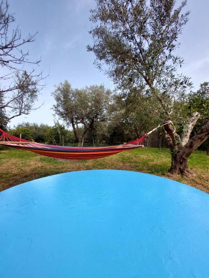Citrus Tree Garden House Villa Kamisiana Exterior photo